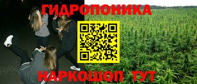 синтетический гашиш Пенза