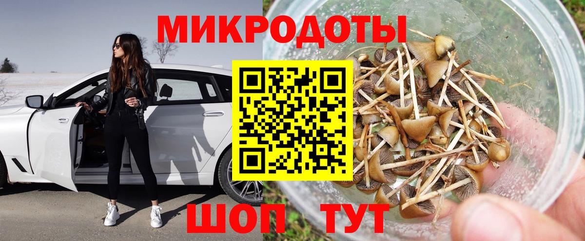 Галлюциногенные грибы MAGIC MUSHROOMS Советская Гавань