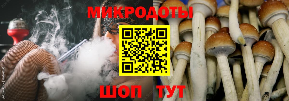 Советская Гавань  Галлюциногенные грибы Cubensis  Вход с VPN 
